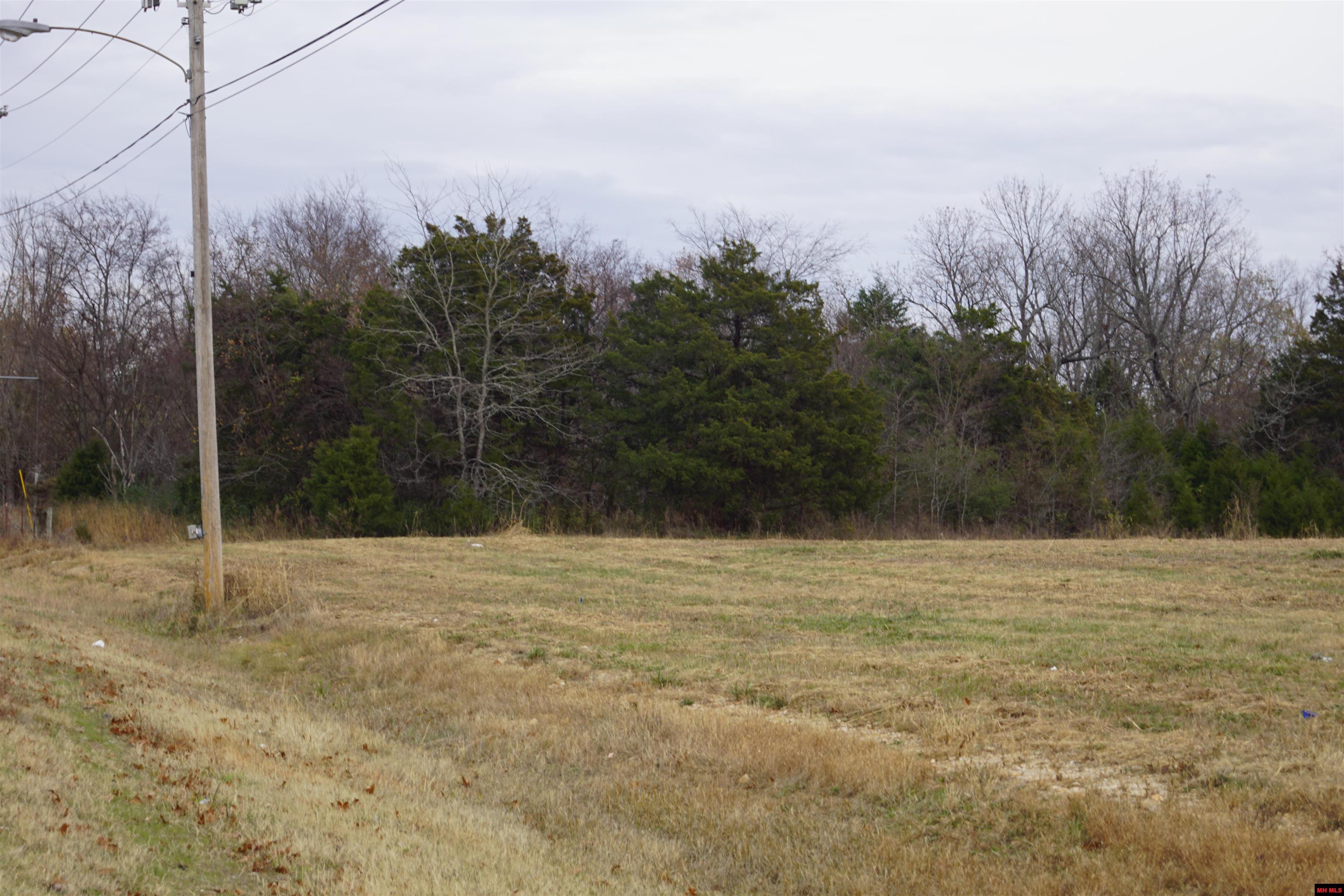 1177 HWY 62 Cotter, AR