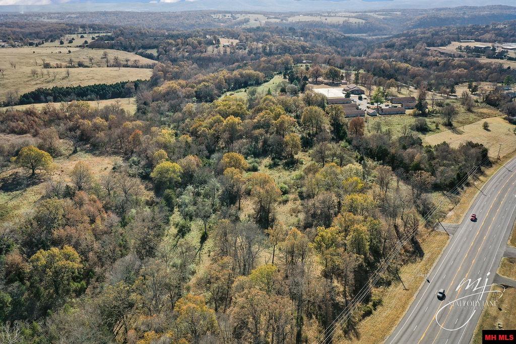 1177 HWY 62 Cotter, AR