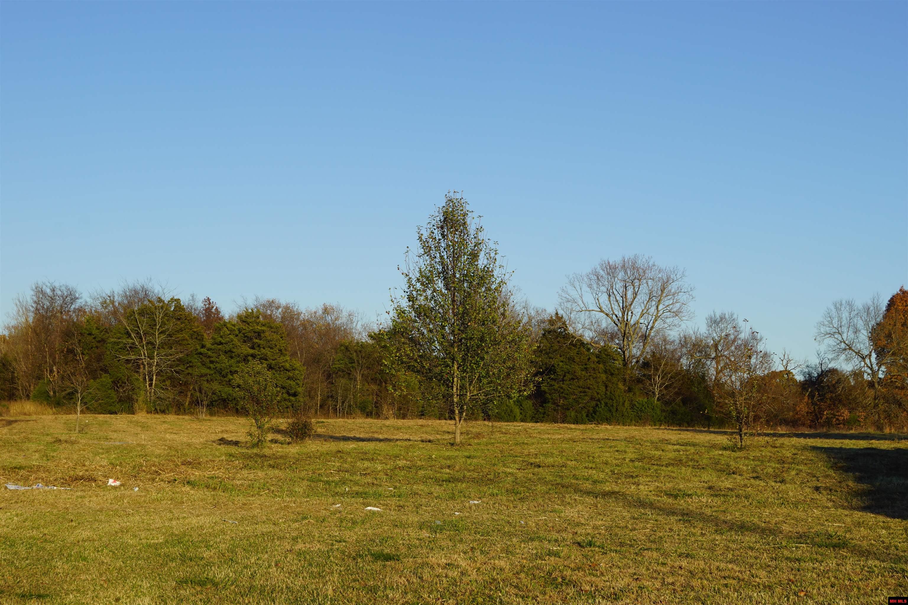 1177 HWY 62 Cotter, AR