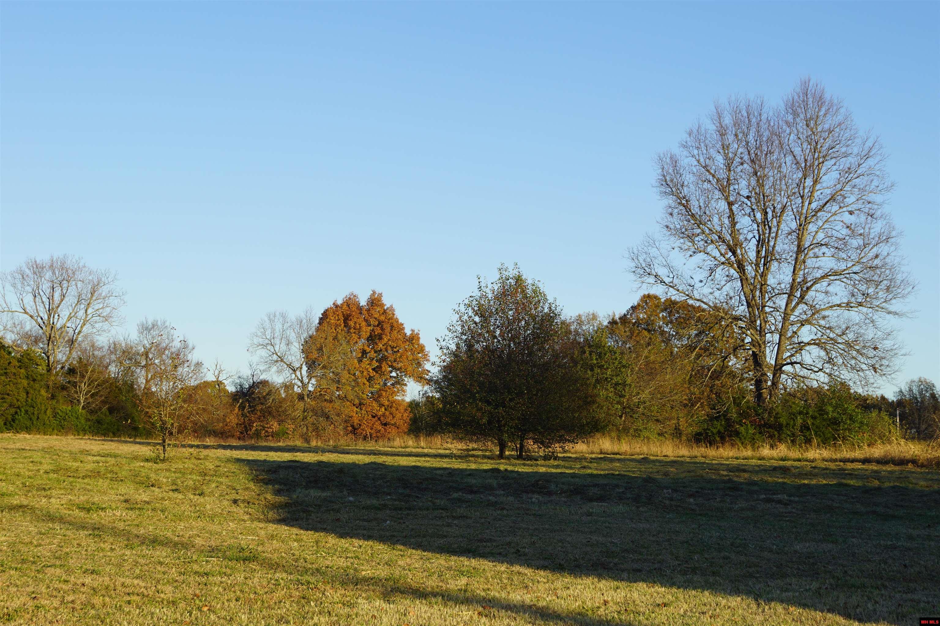 1177 HWY 62 Cotter, AR