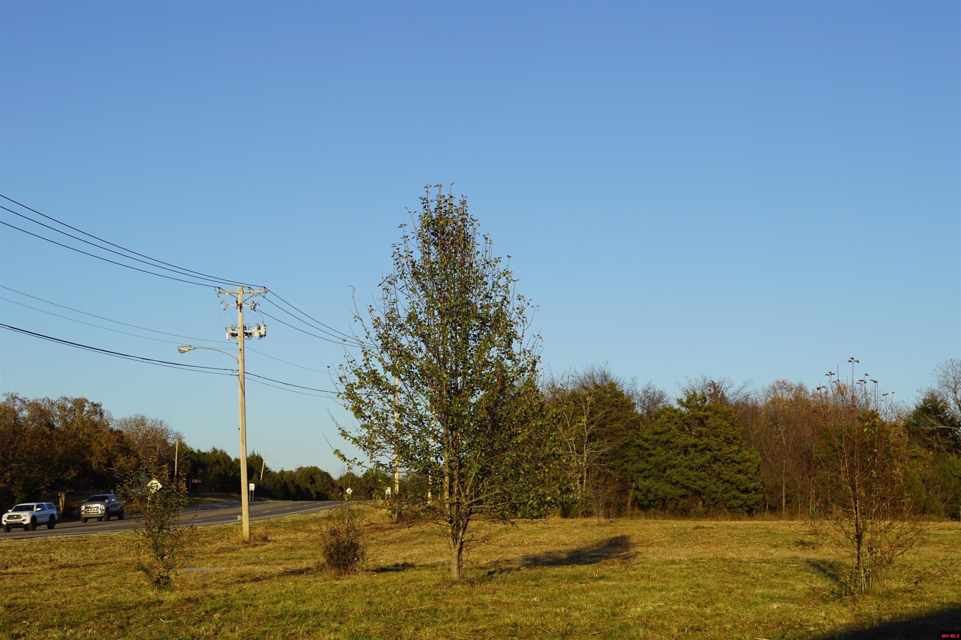 1177 HWY 62 Cotter, AR