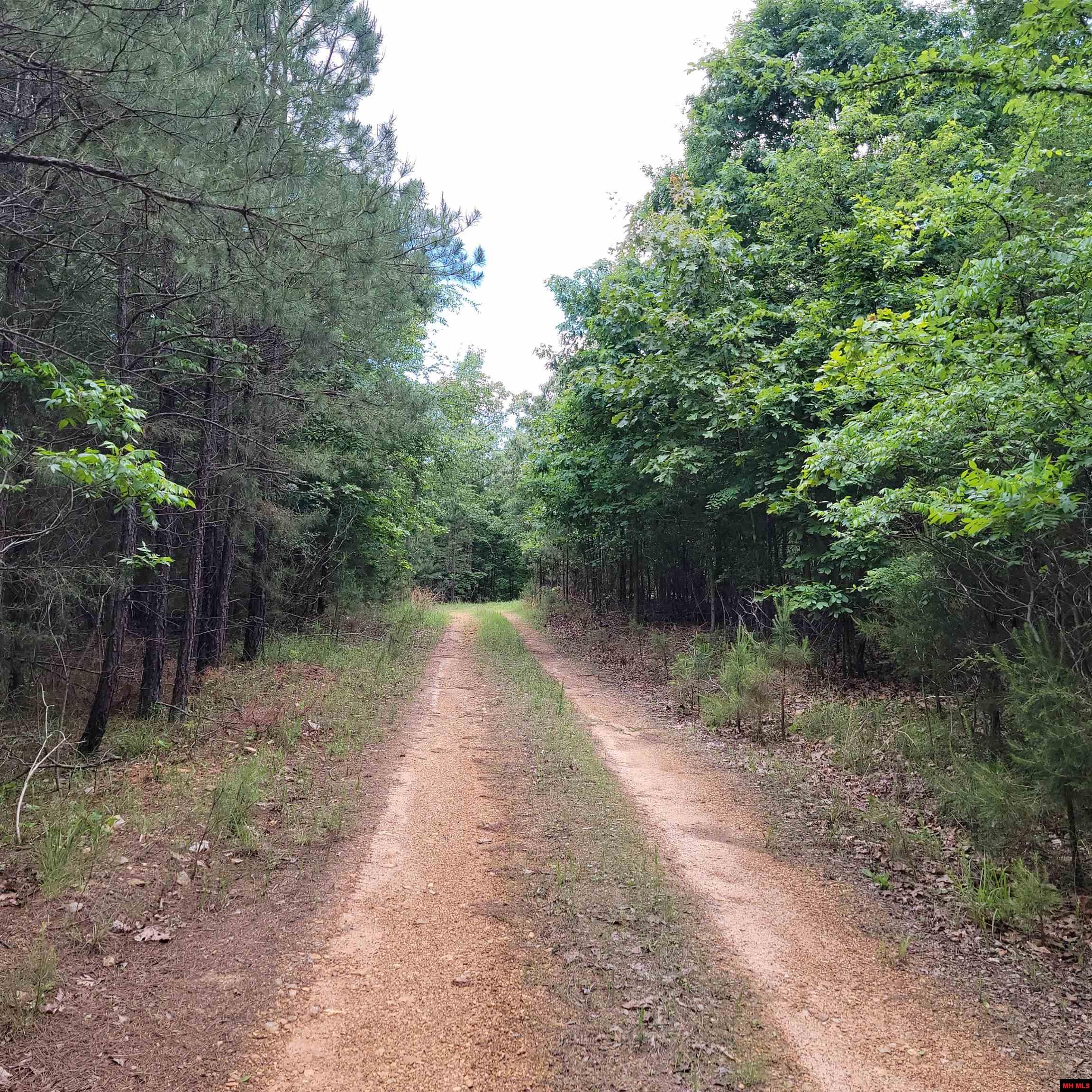 Lot 2 Reynolds Island Cove