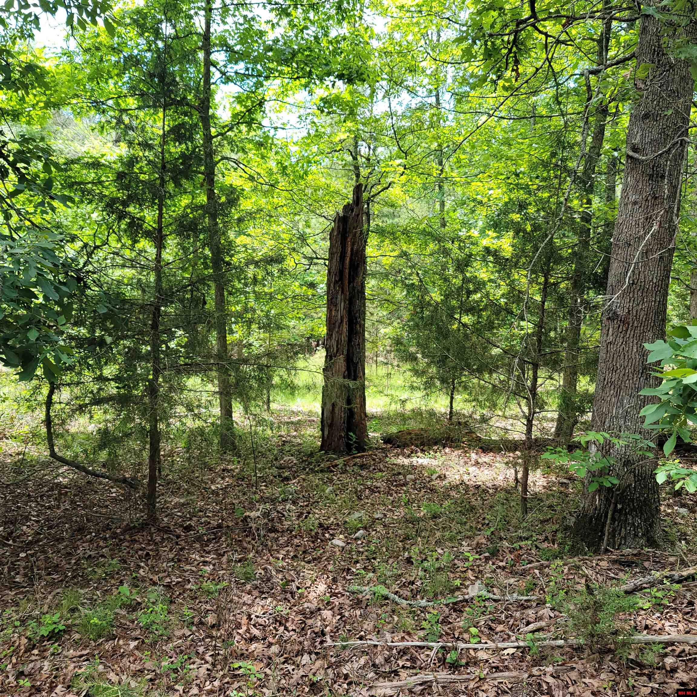 Lot 2 Reynolds Island Cove