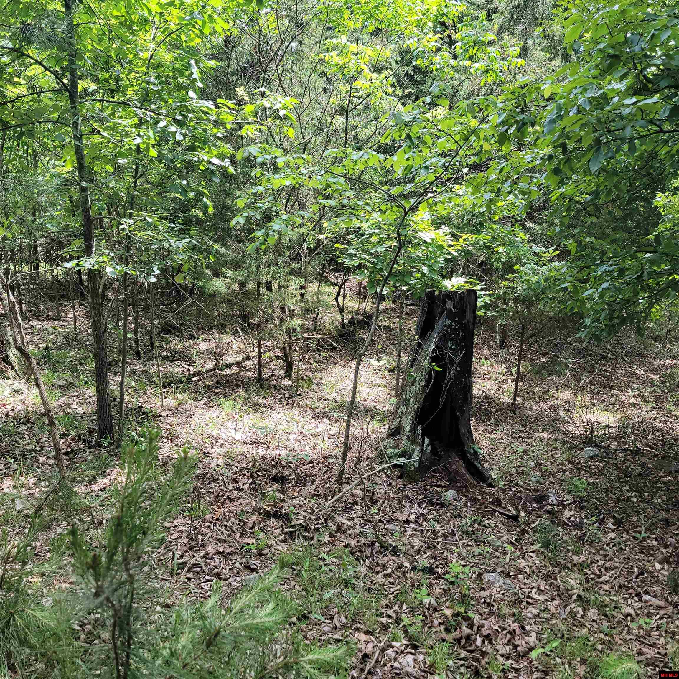 Lot 2 Reynolds Island Cove