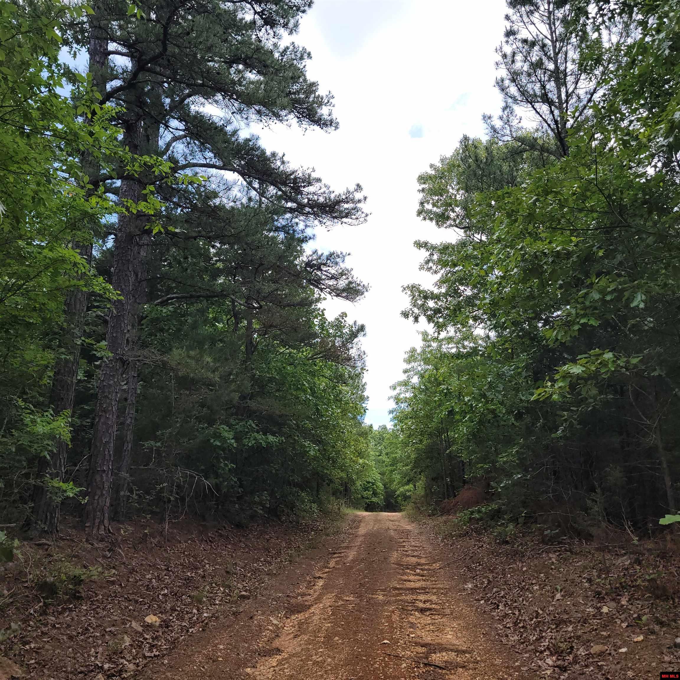 Lot 2 Reynolds Island Cove