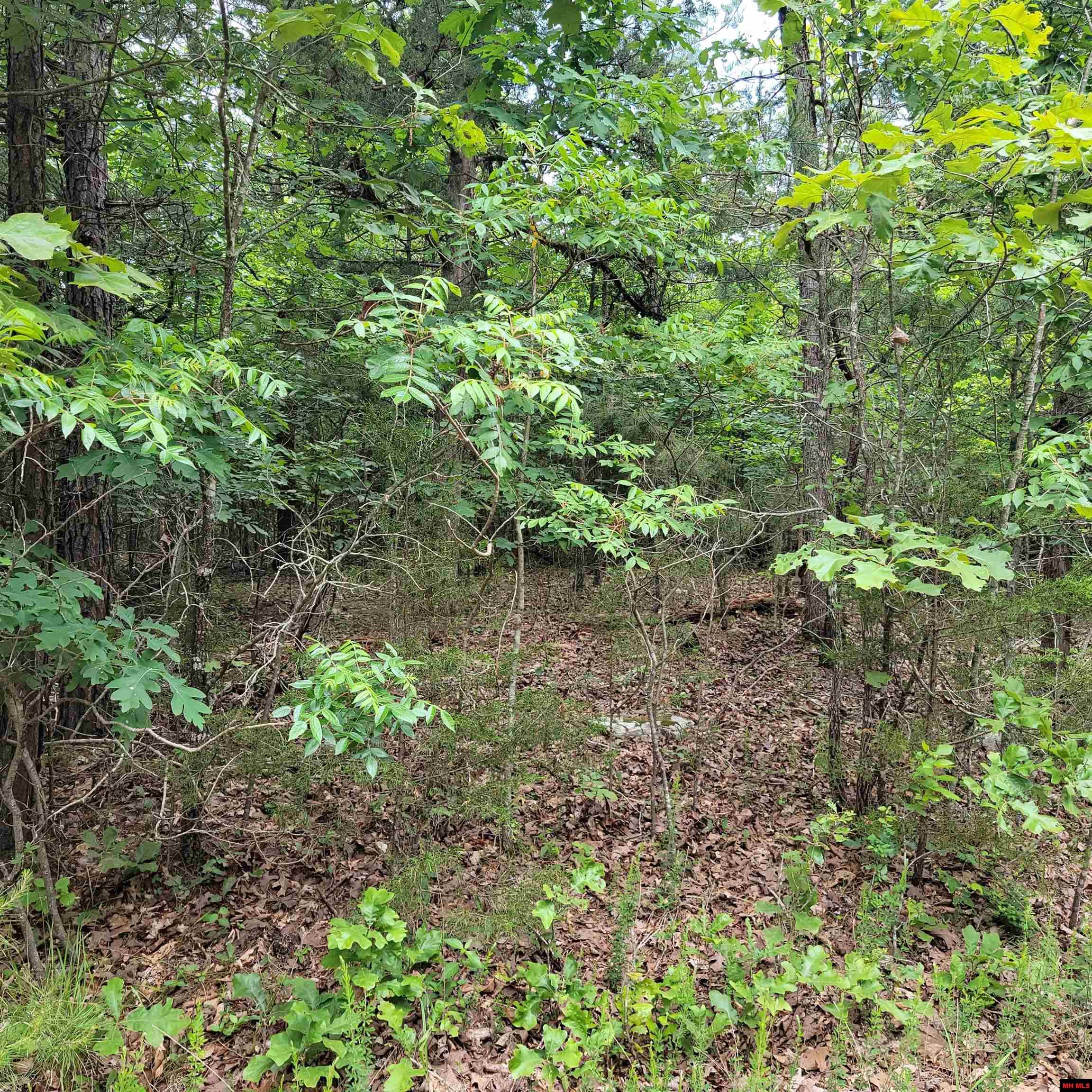 Lot 2 Reynolds Island Cove