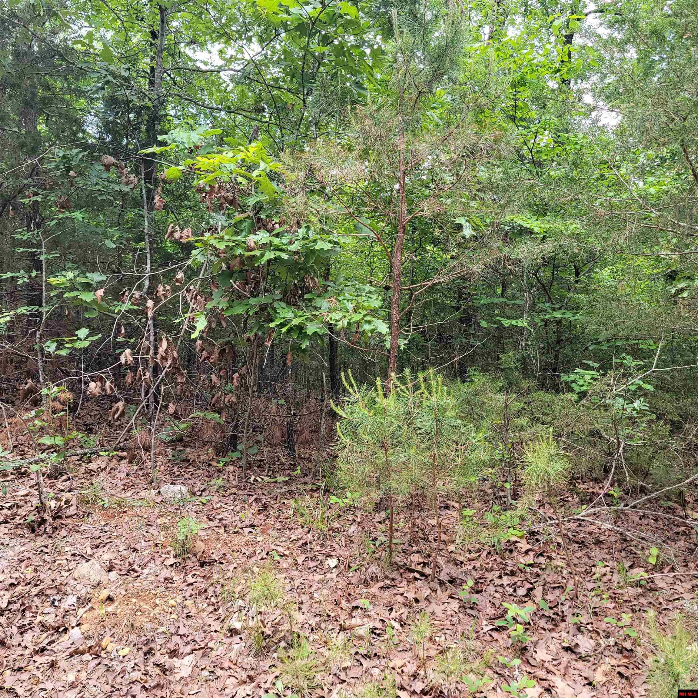 Lot 2 Reynolds Island Cove