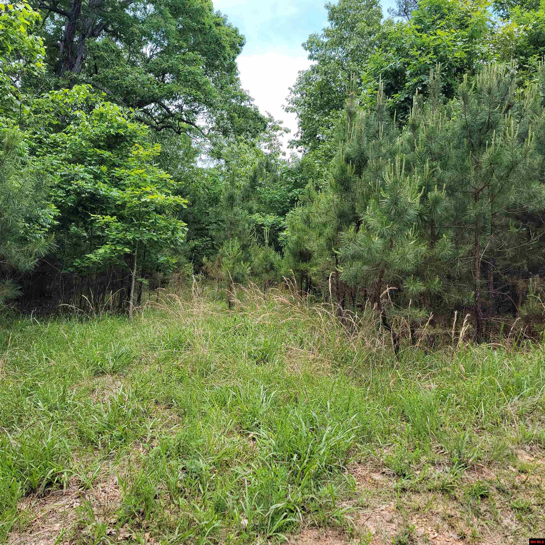 Lot 2 Reynolds Island Cove