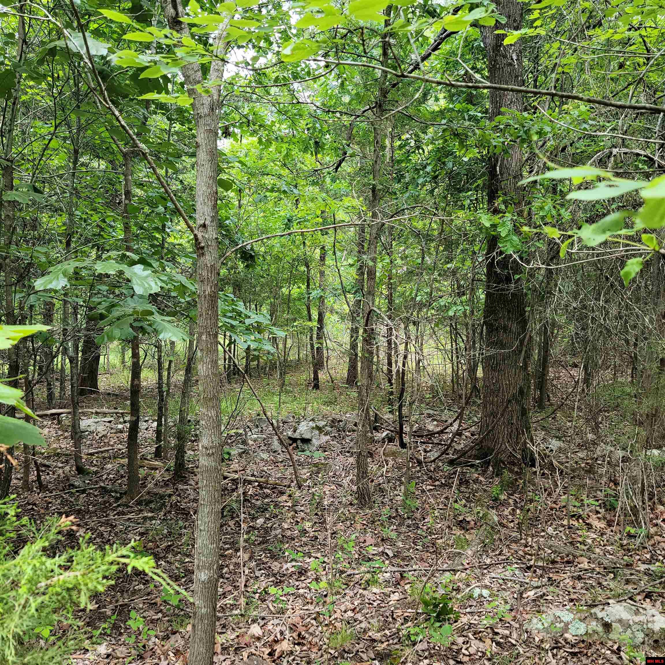 Lot 2 Reynolds Island Cove