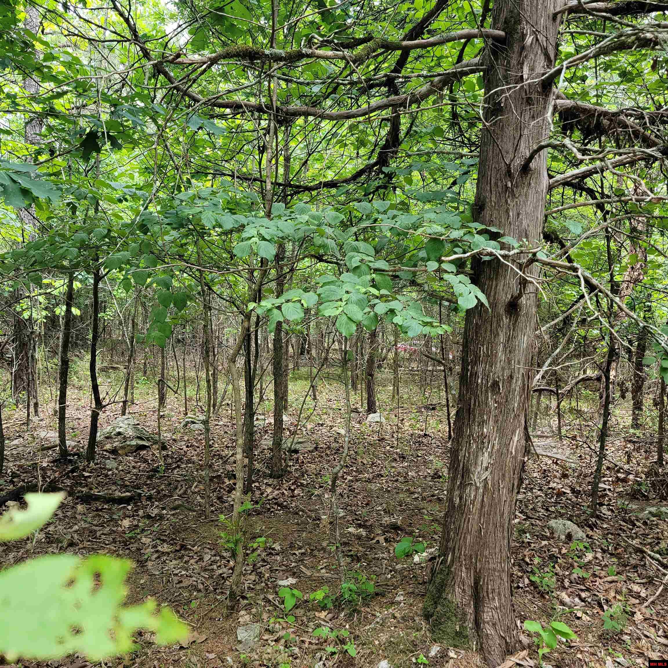 Lot 2 Reynolds Island Cove