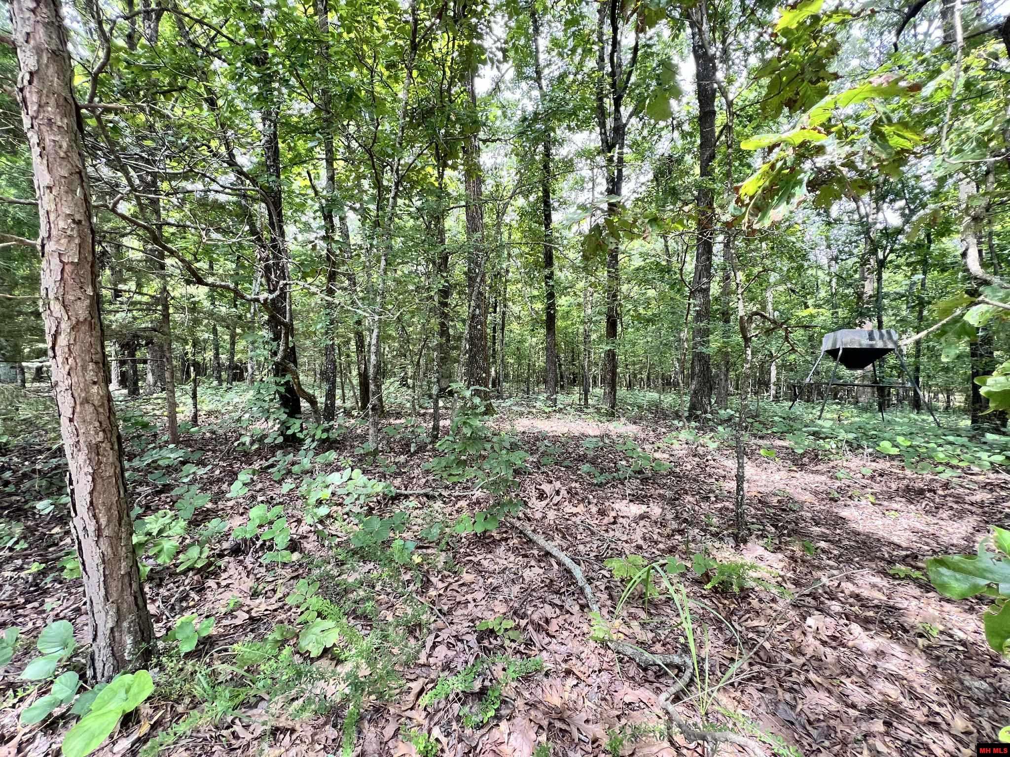 01635,01638,016 Jordan Road