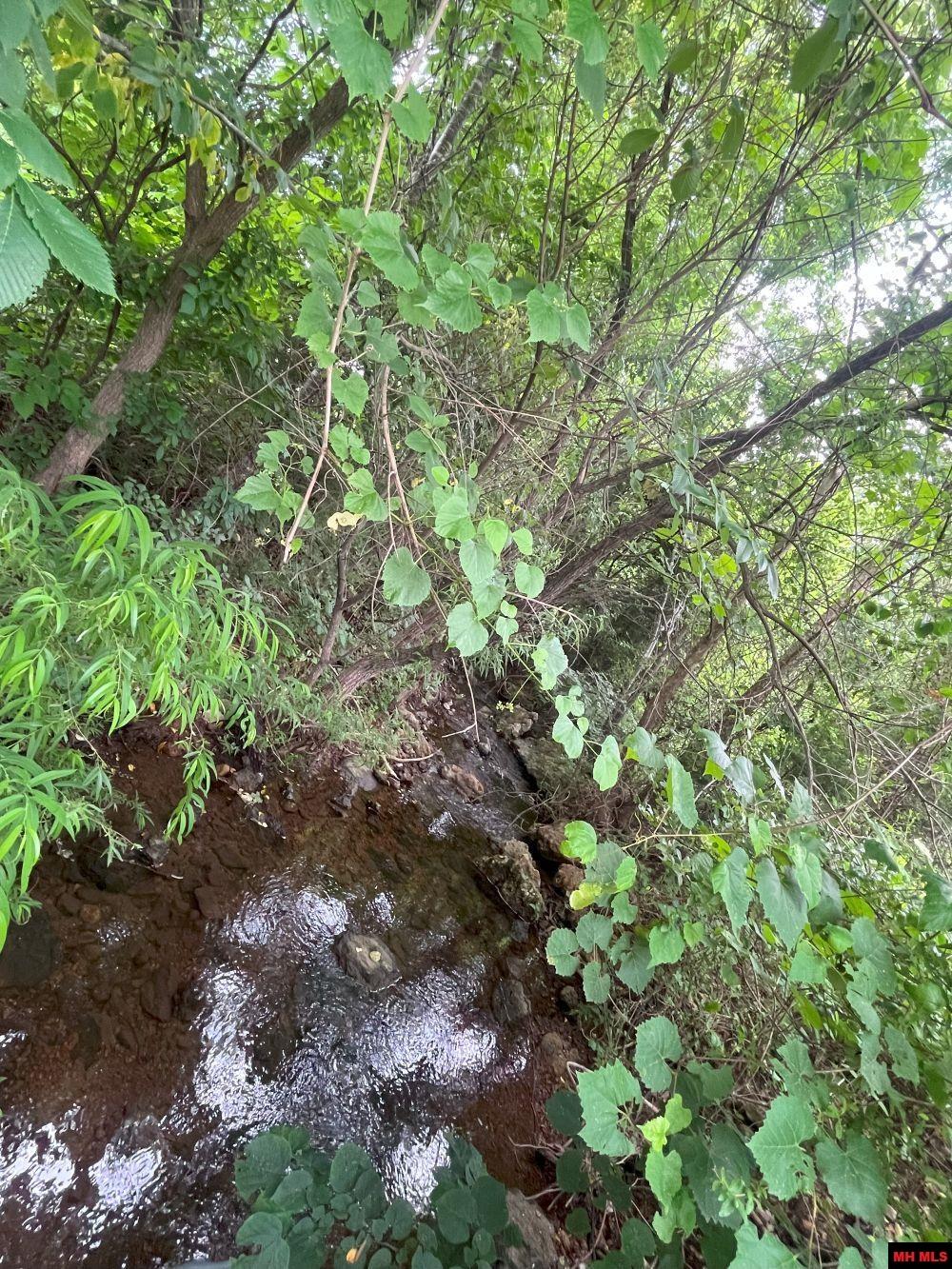 Lot 14 Silverthorne Circle