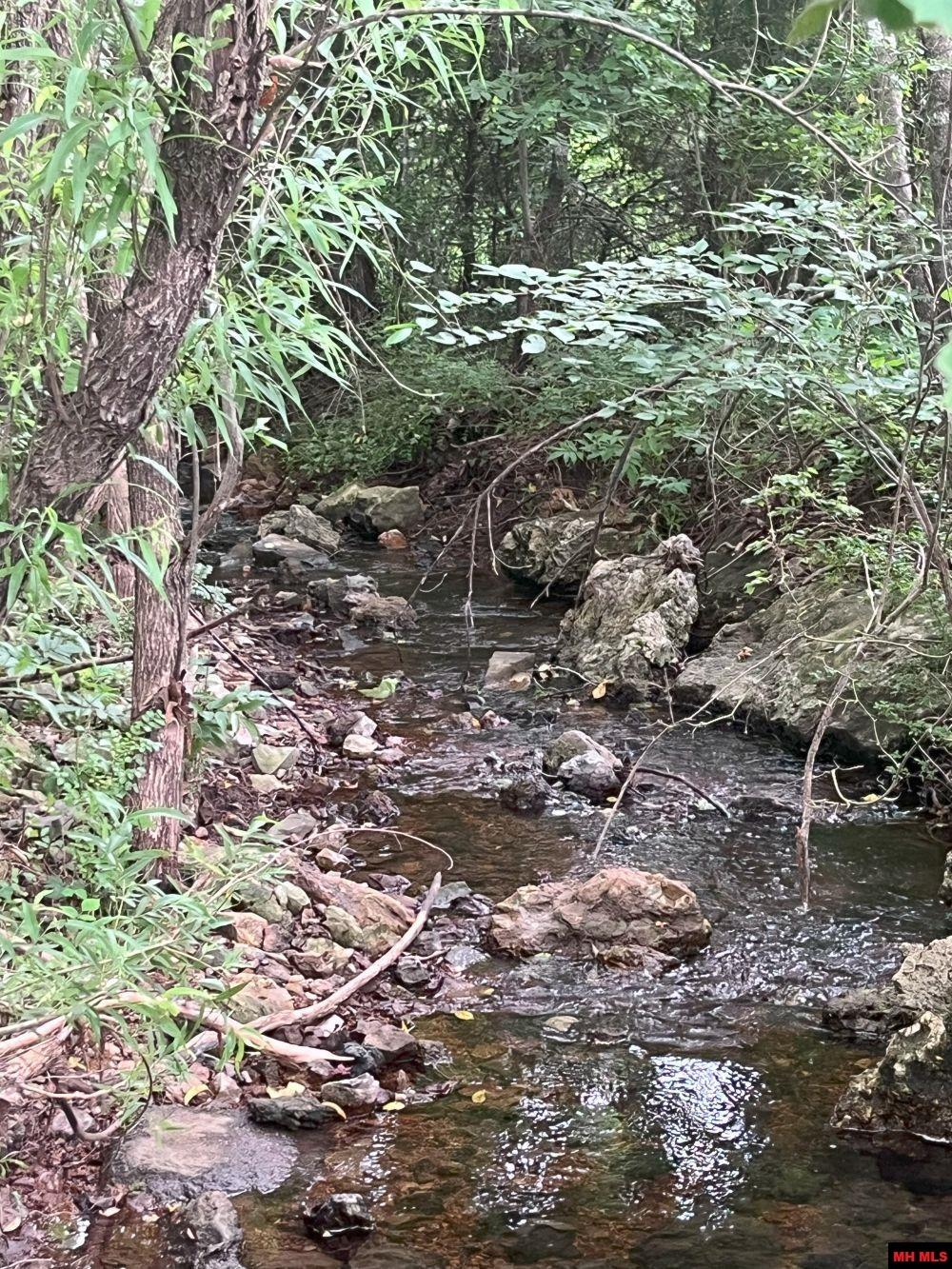 Lot 14 Silverthorne Circle