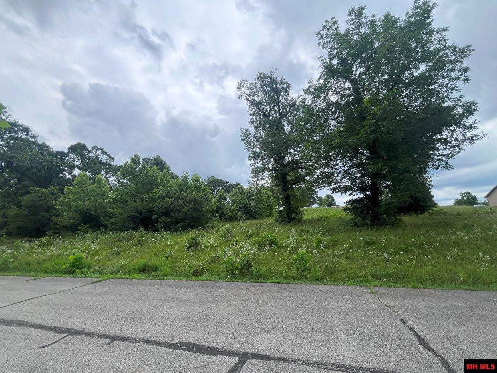 Lot 2 Silverthorne Circle