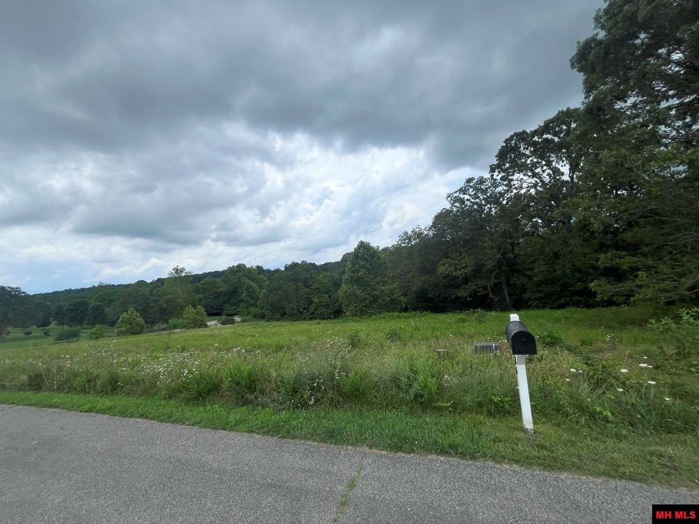 Lt 2, 5, 14, 15 Silverthorne Circle