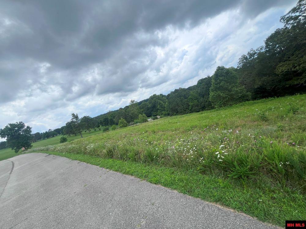 Lt 2, 5, 14, 15 Silverthorne Circle