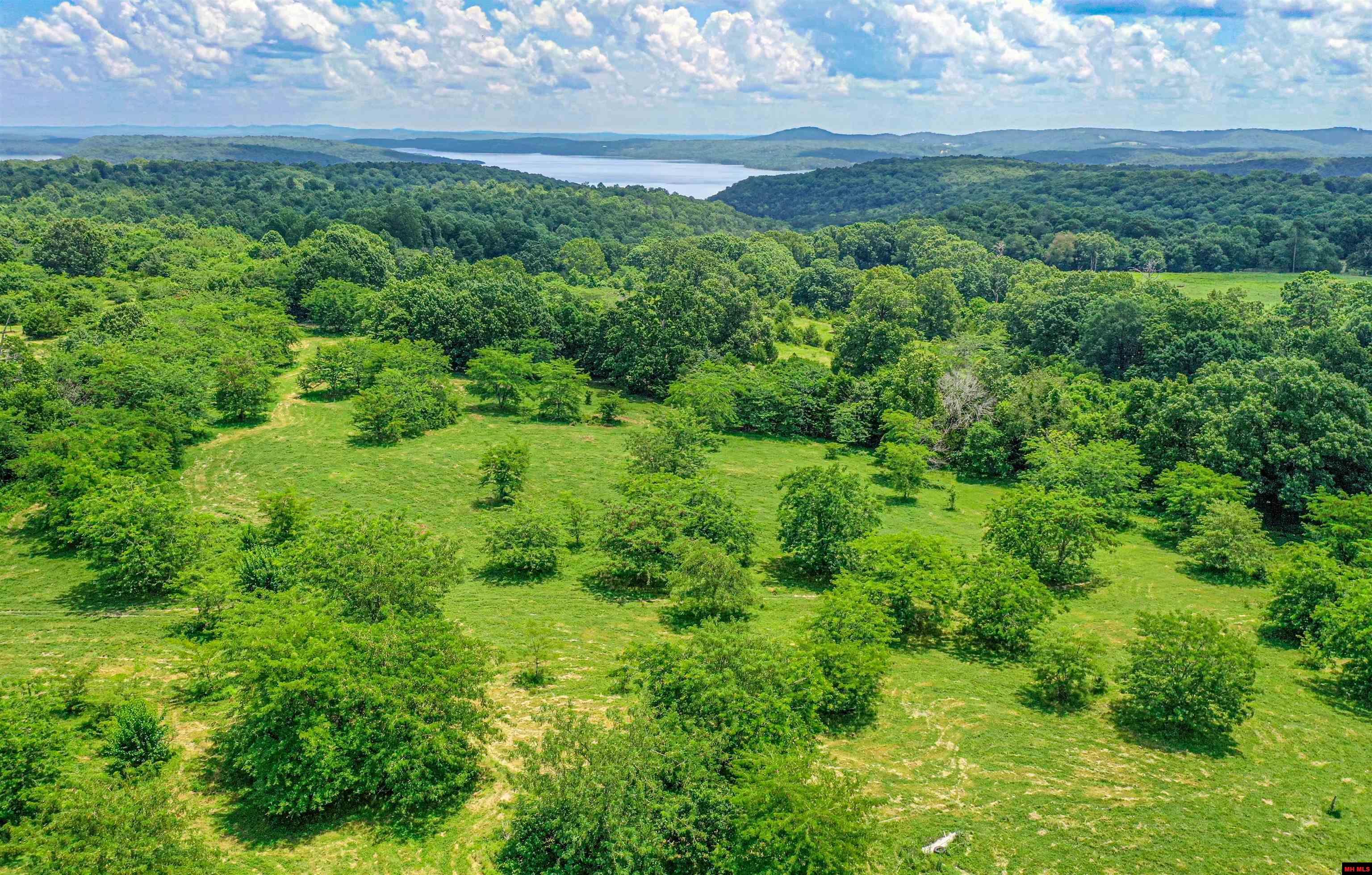 001-09863-001 Mc 8036