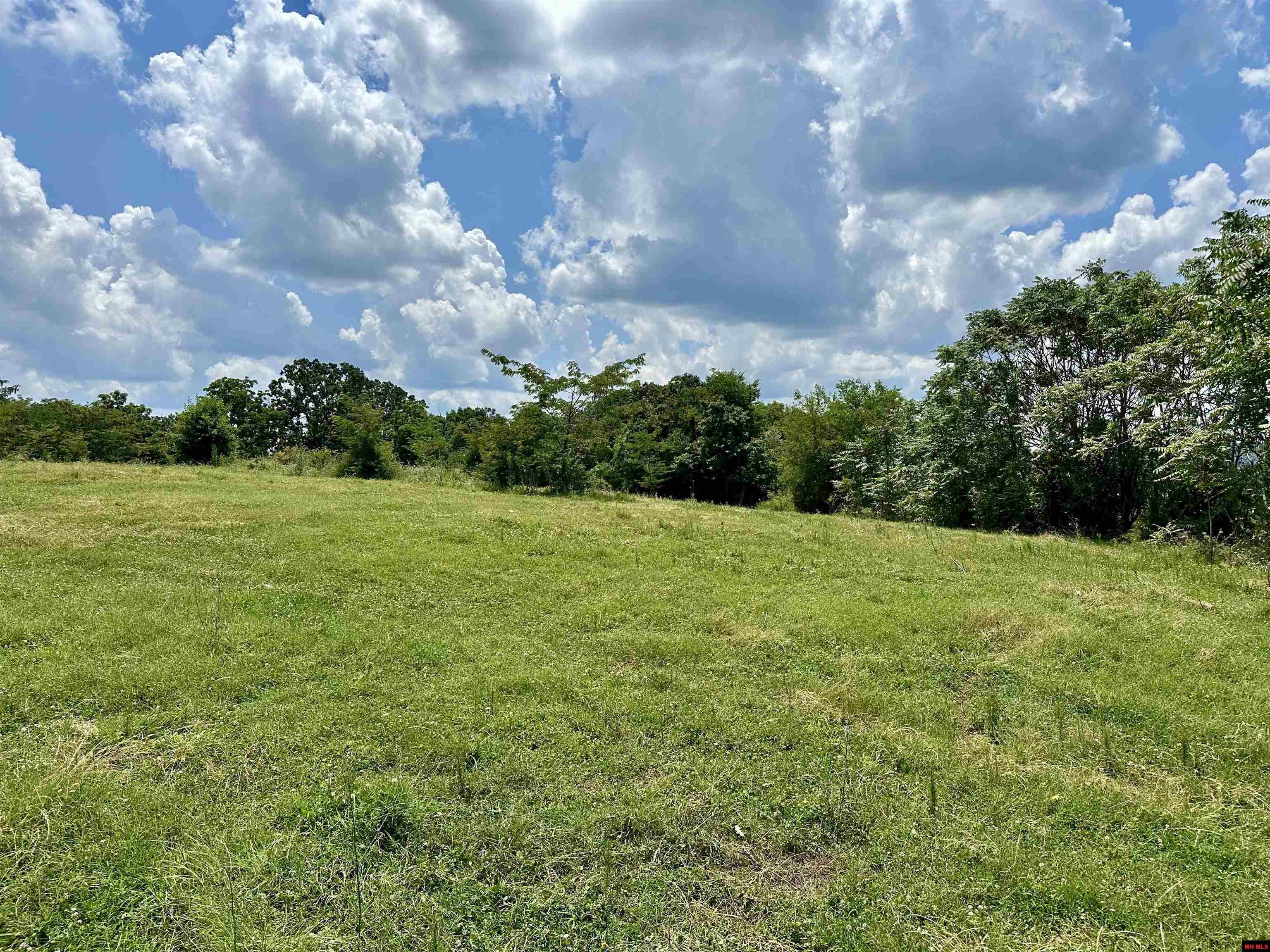 001-09863-001 Mc 8036