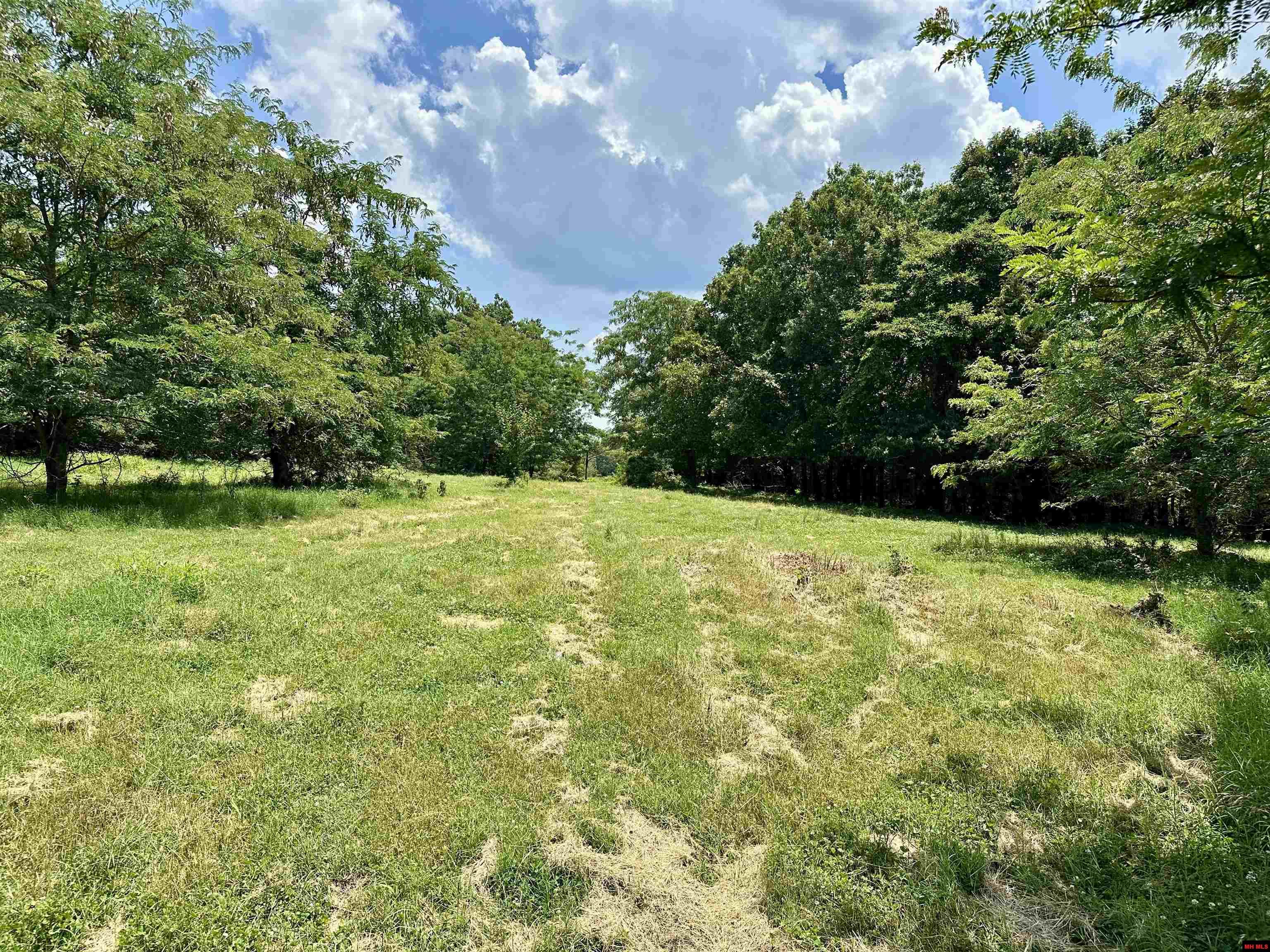 001-09863-001 Mc 8036