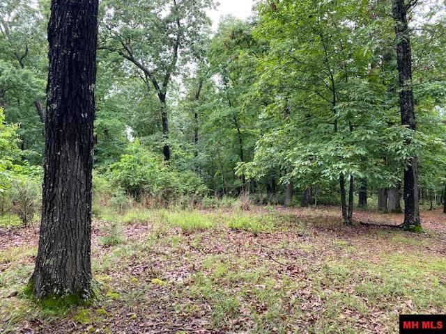 Lot 5 Lakeview Circle