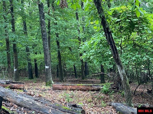 Lot 5 Lakeview Circle