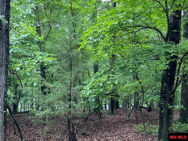 Lot 5 Lakeview Circle