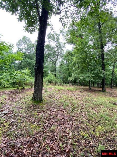 Lot 5 Lakeview Circle