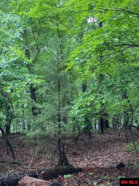 Lot 5 Lakeview Circle