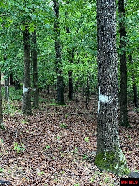 Lot 5 Lakeview Circle