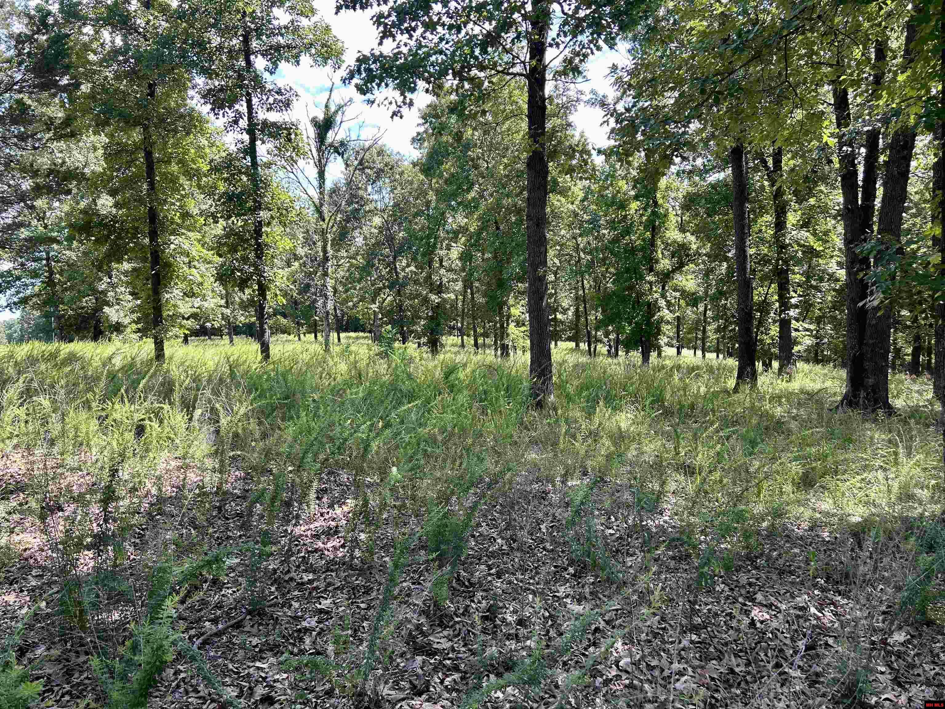 001-06802-000 Mc 8010