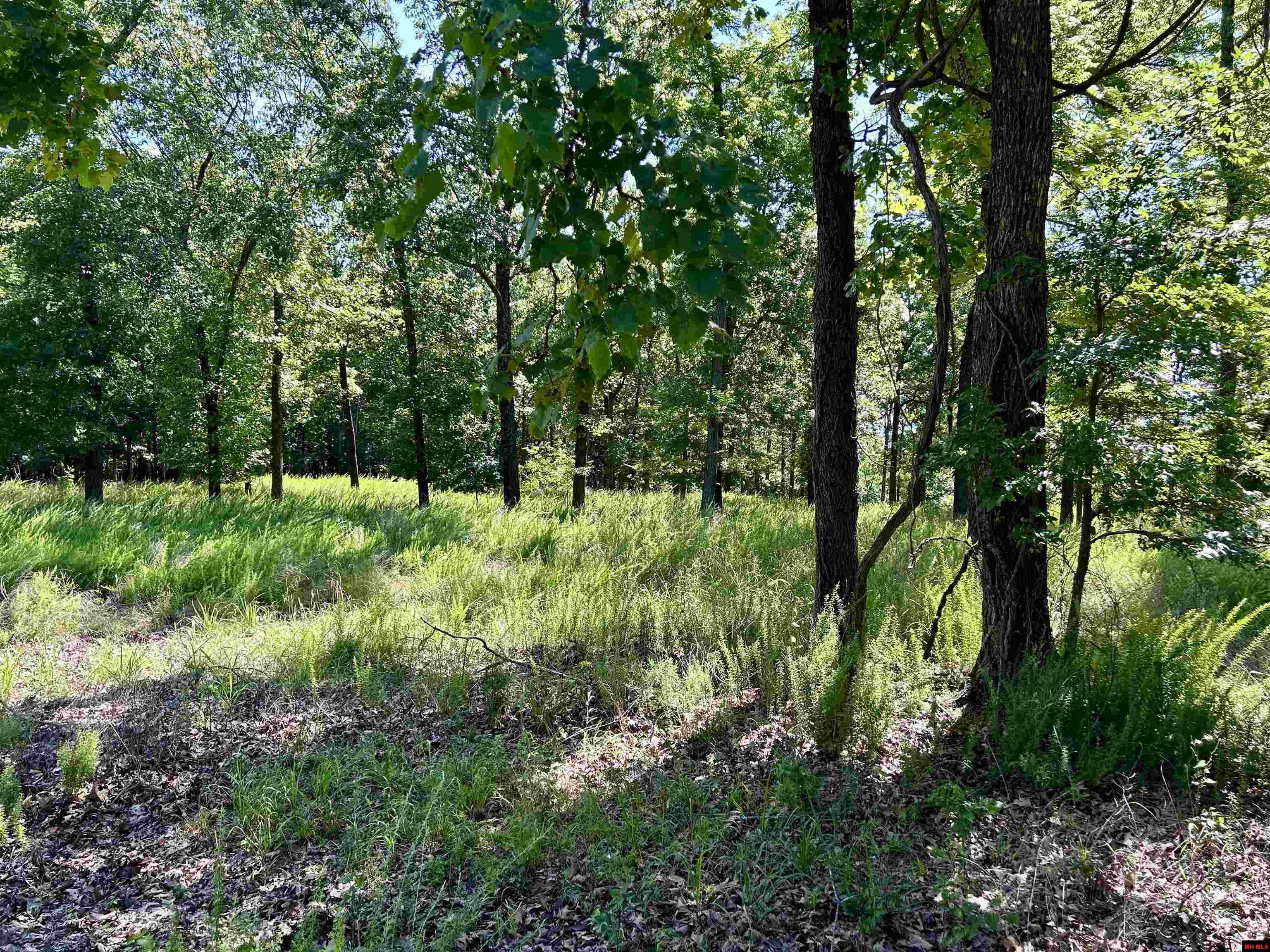 001-06802-000 Mc 8010