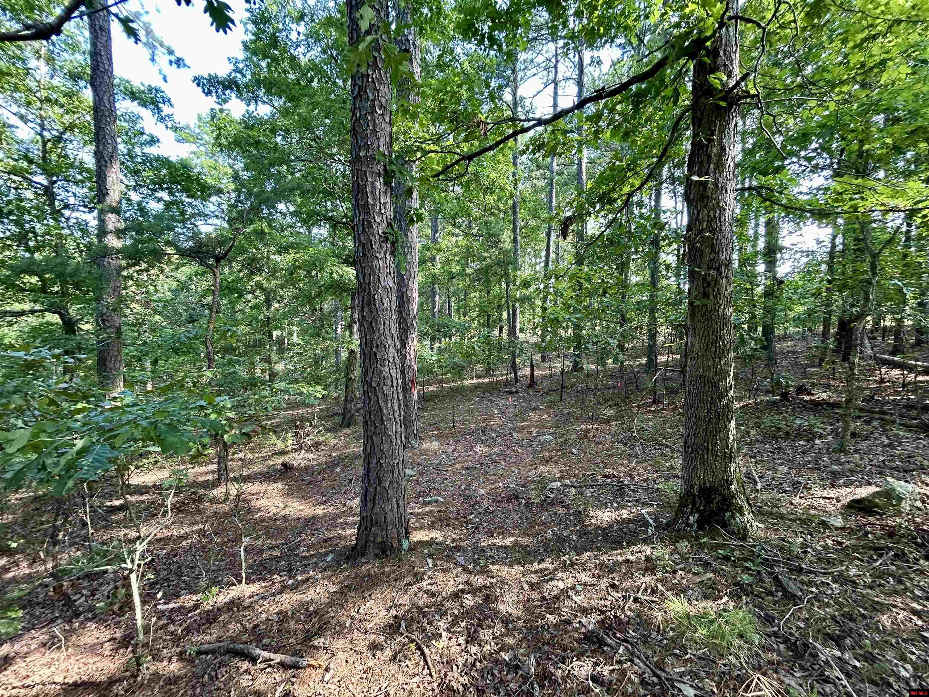 6140 Swiss Alps Lane