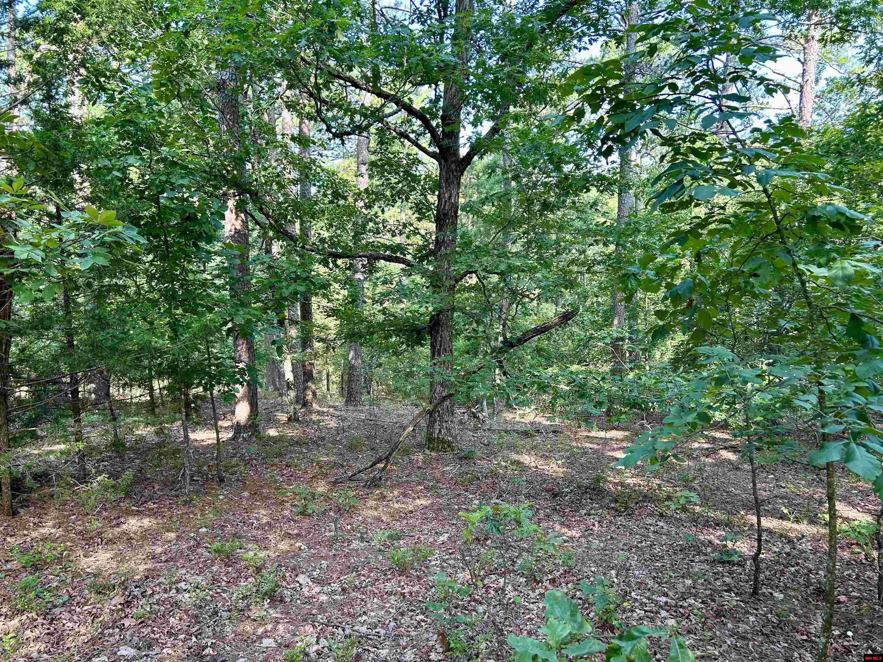 6140 Swiss Alps Lane