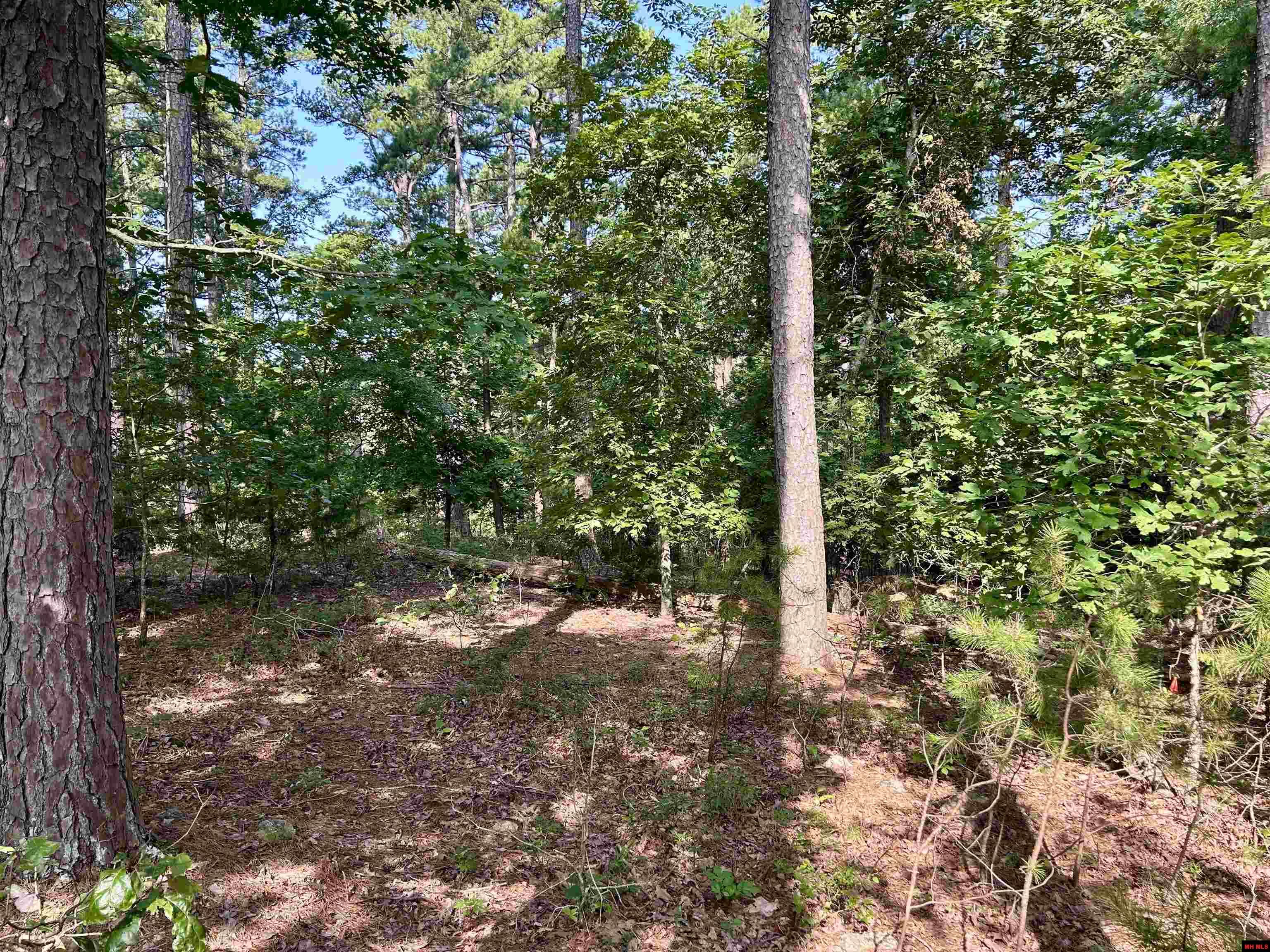 6140 Swiss Alps Lane