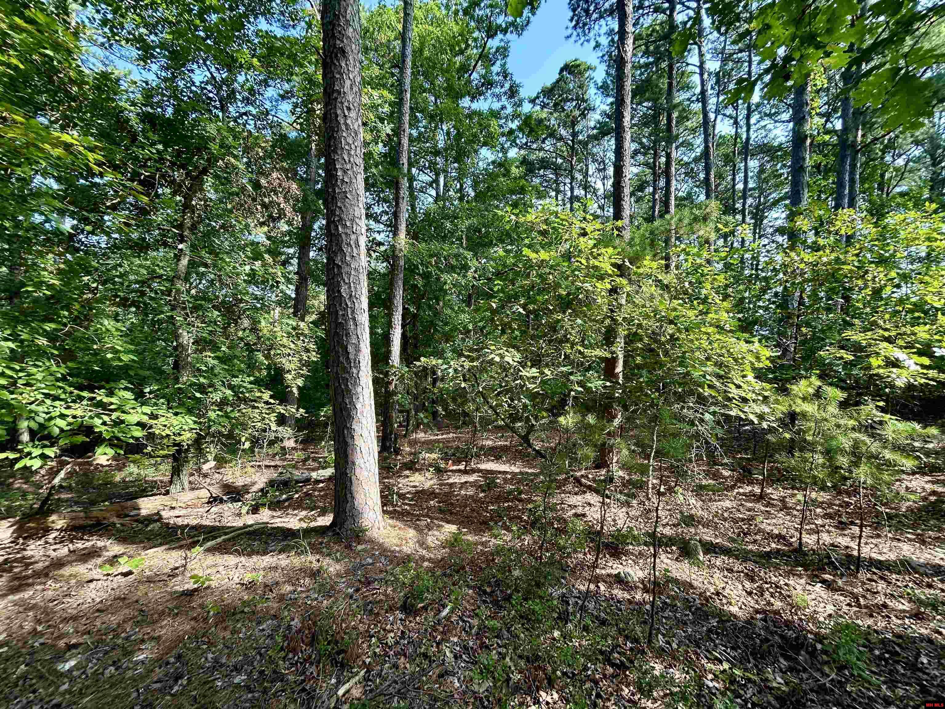 6140 Swiss Alps Lane