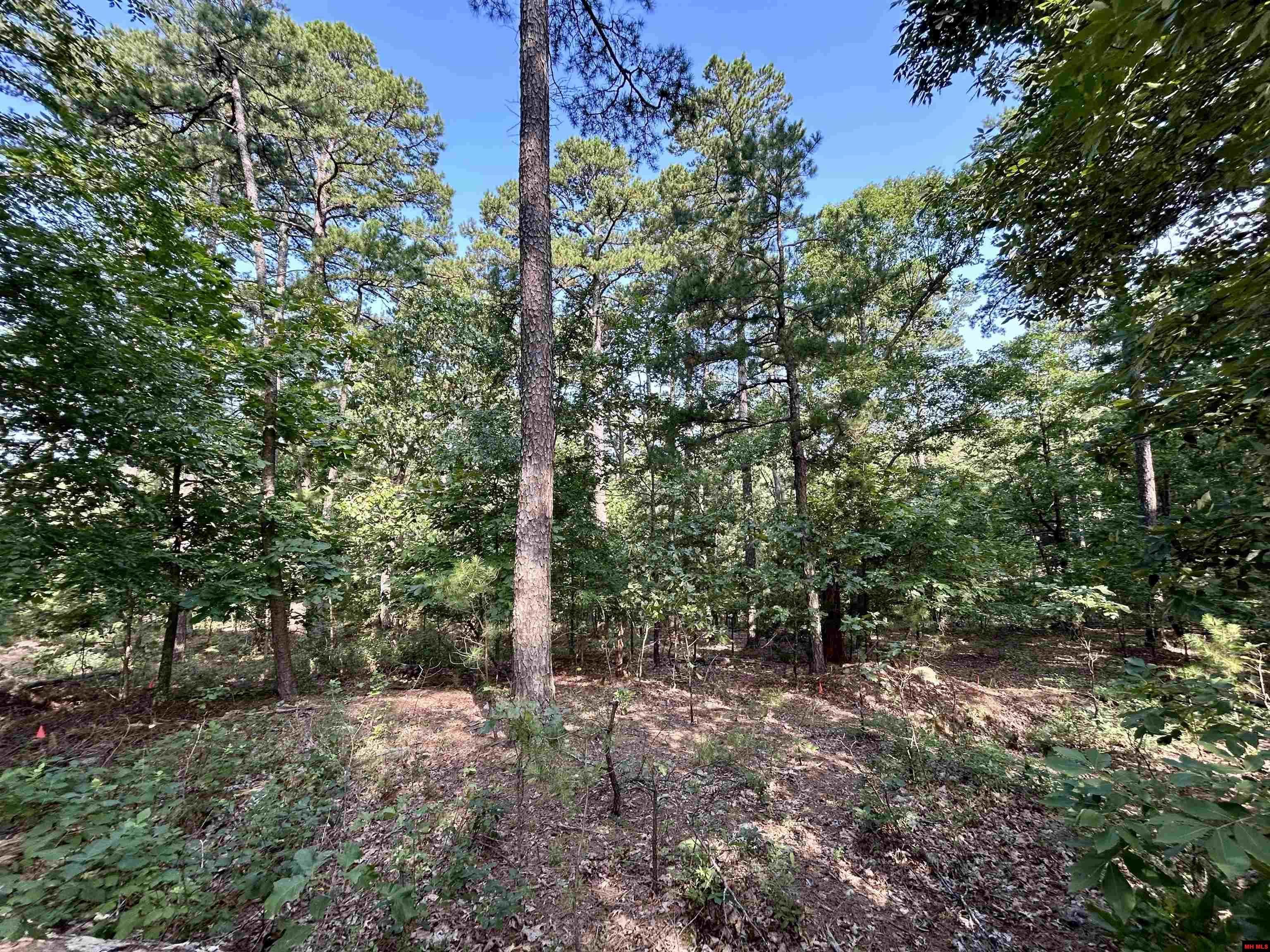 6140 Swiss Alps Lane