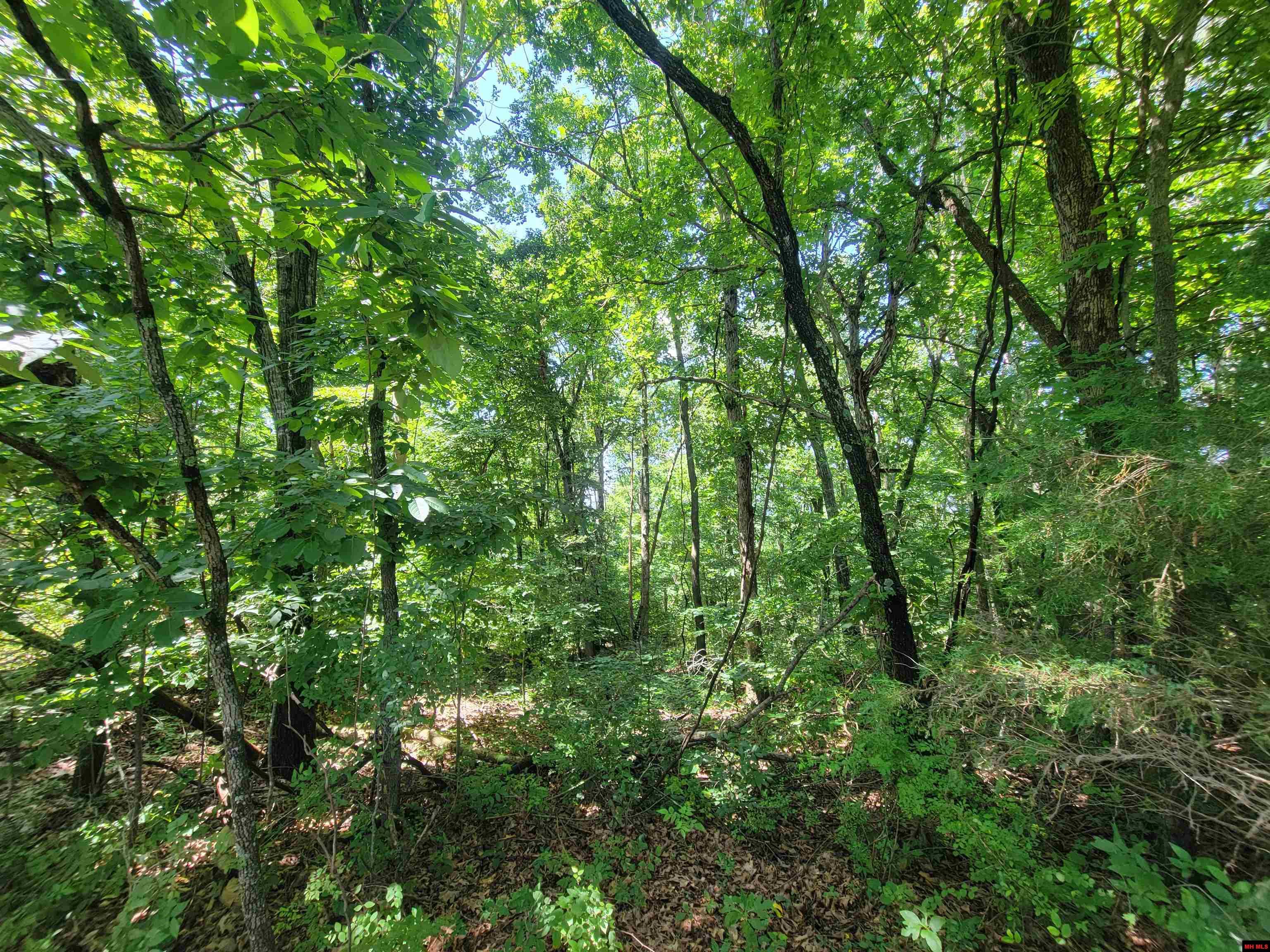 000-0008-000 Hwy 160