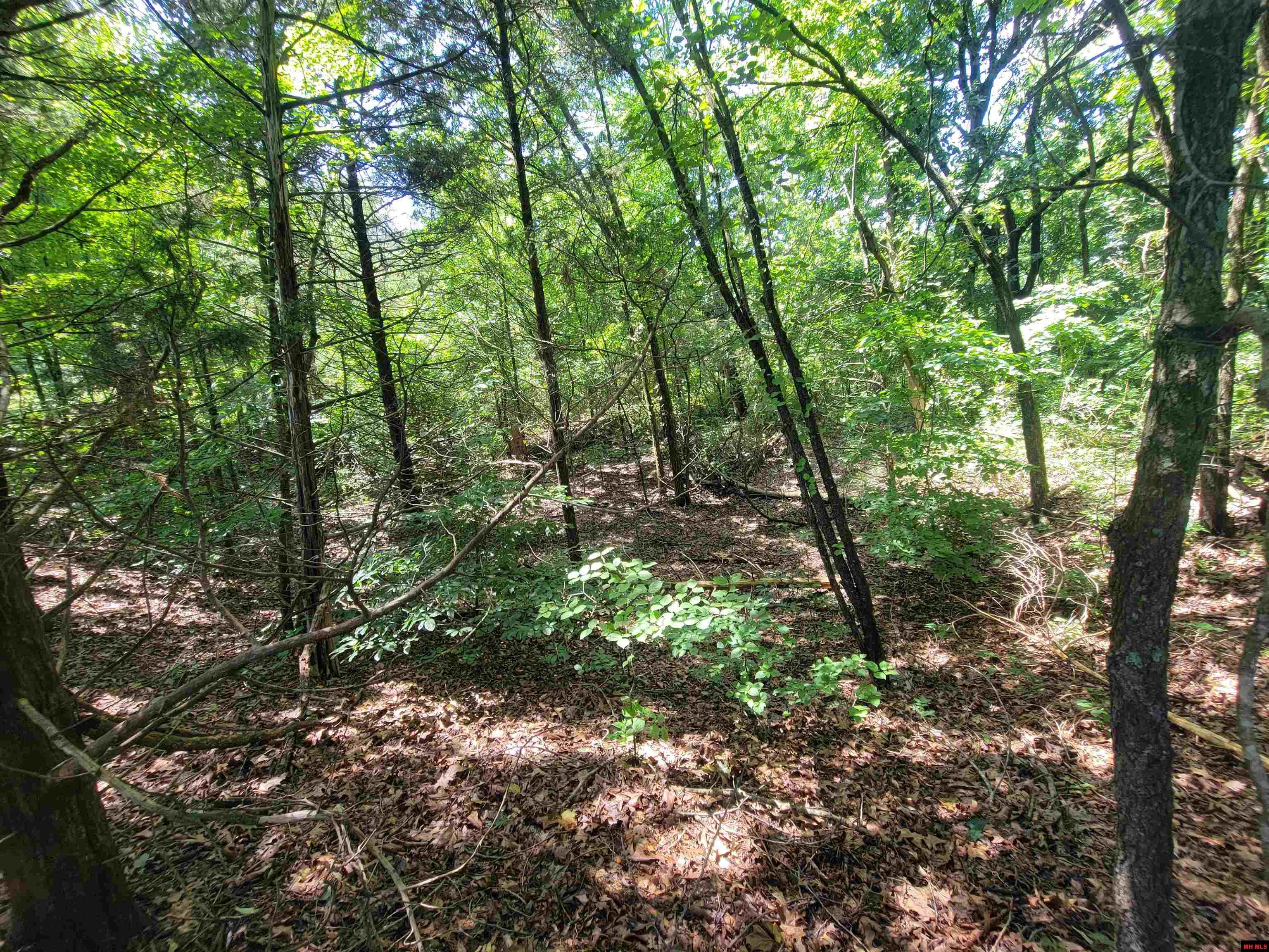 000-0008-000 Hwy 160