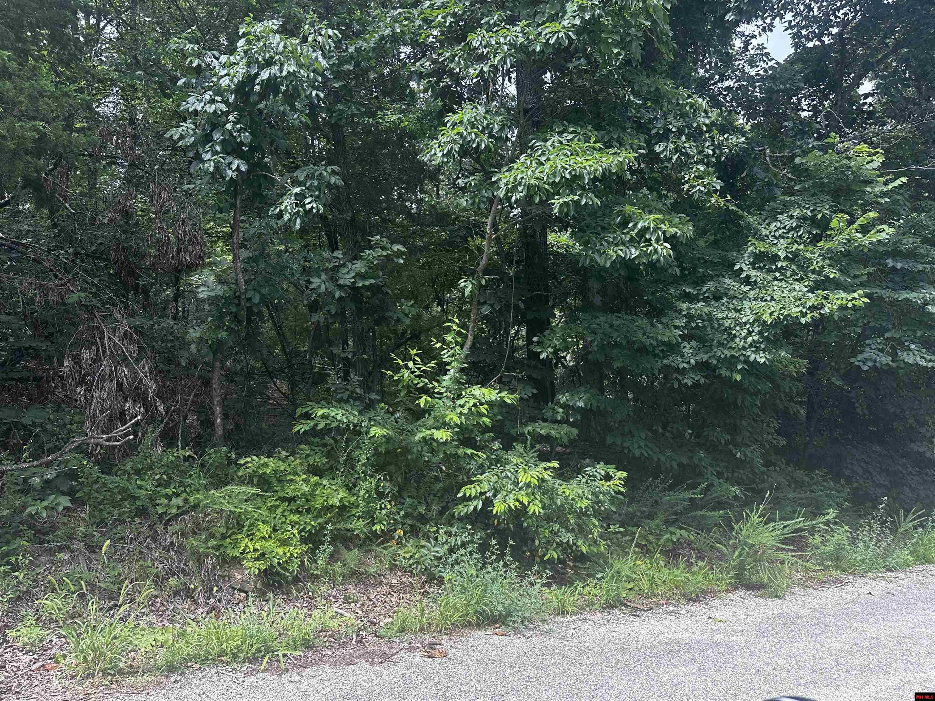 Lts 35-37 River Ranch Road