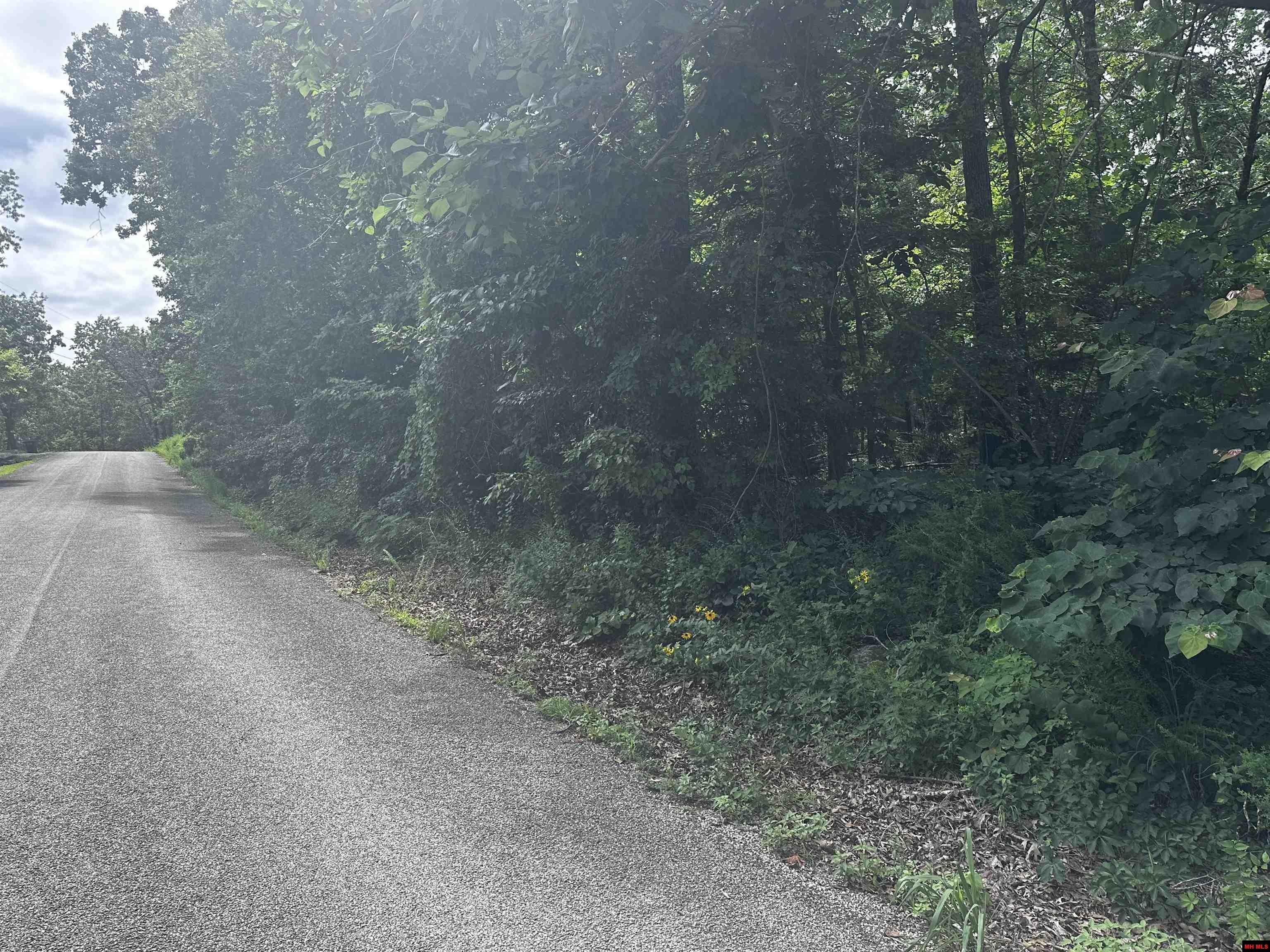 Lts 35-37 River Ranch Road