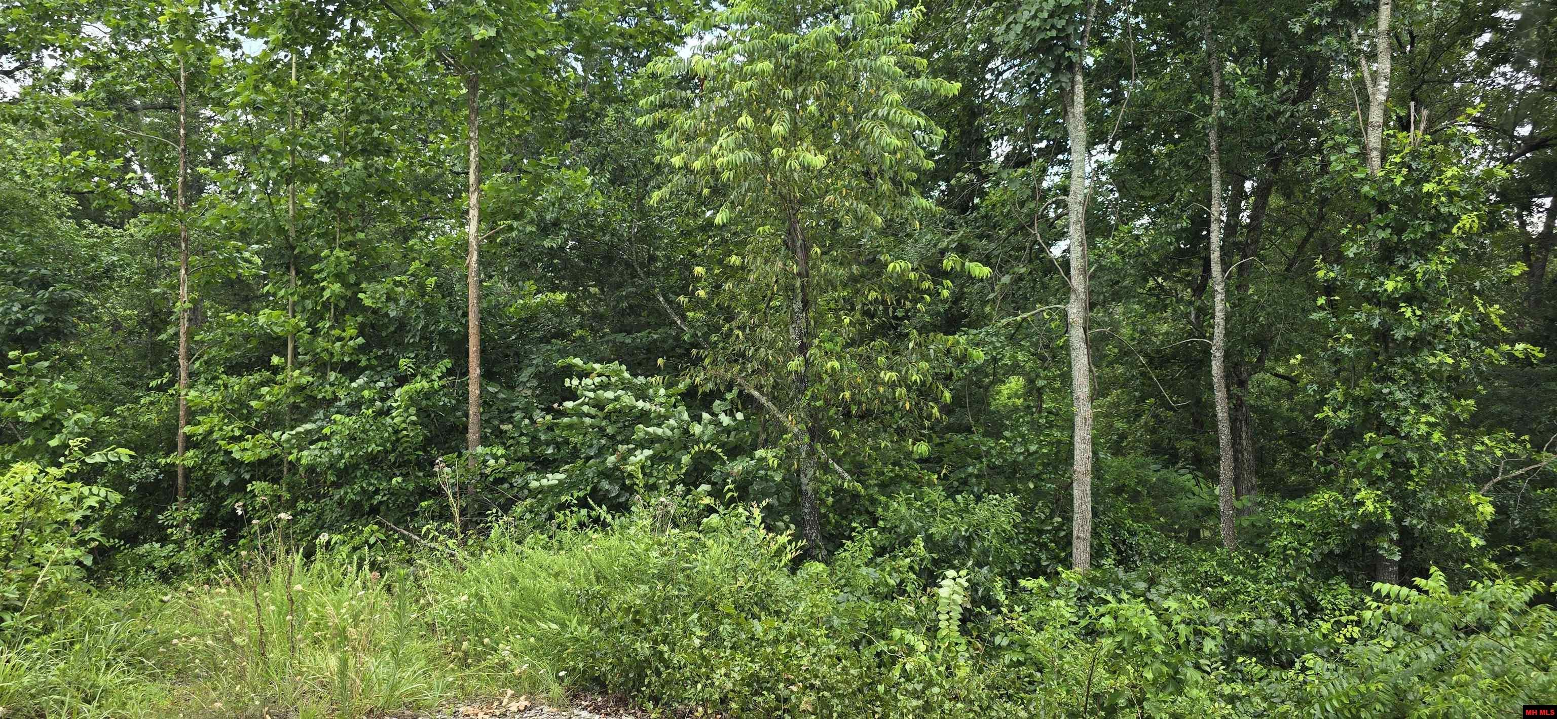 001-05384-002 Hwy 62/412 West