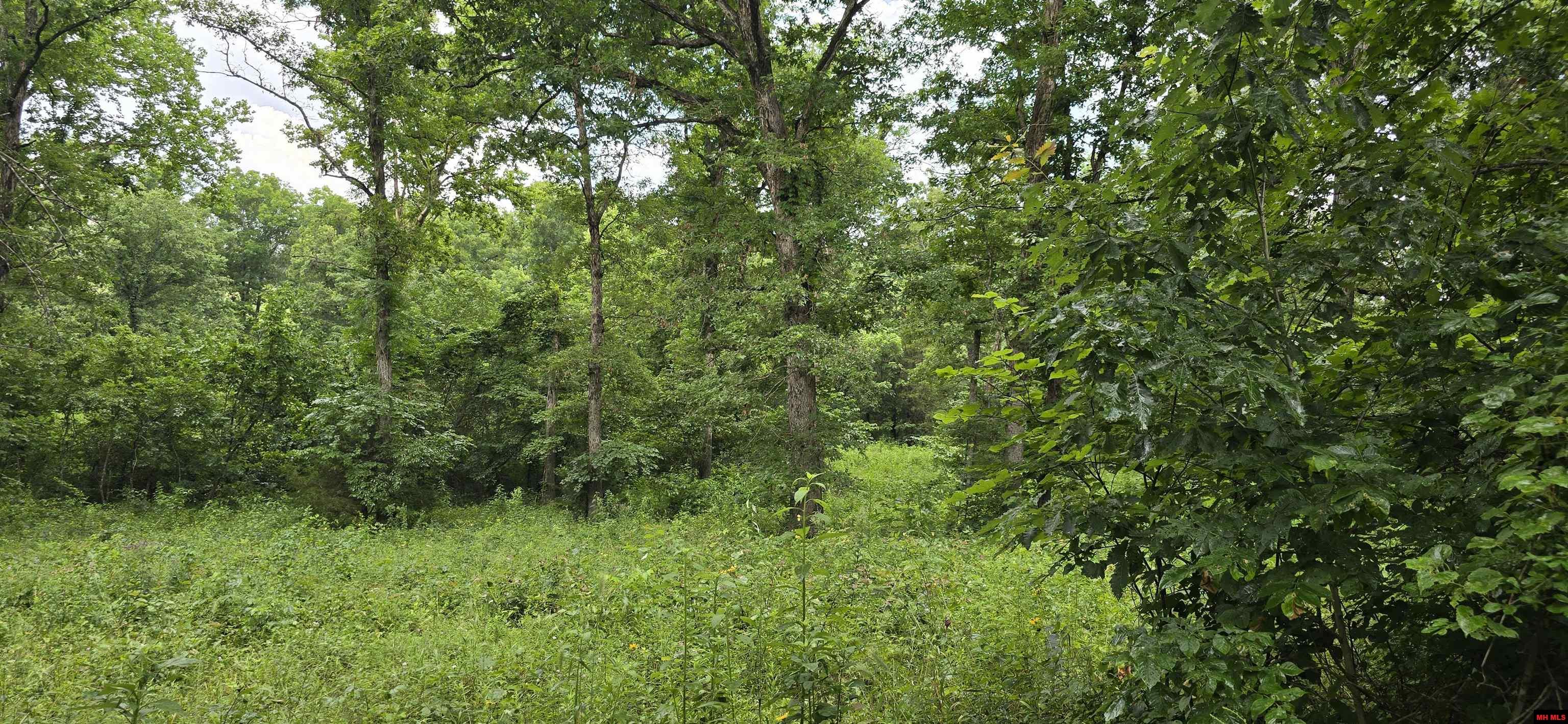 001-05384-002 Hwy 62/412 West