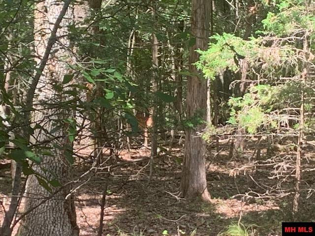 001-09509-000 Lazy Acres Road