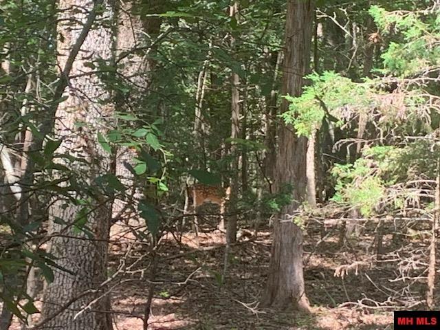 001-09509-000 Lazy Acres Road