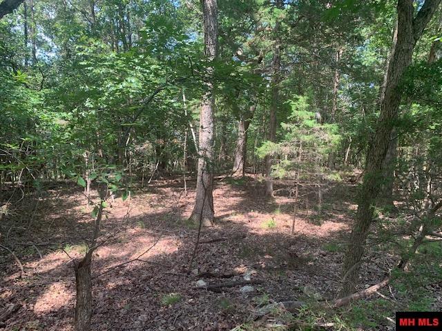 001-09509-000 Lazy Acres Road