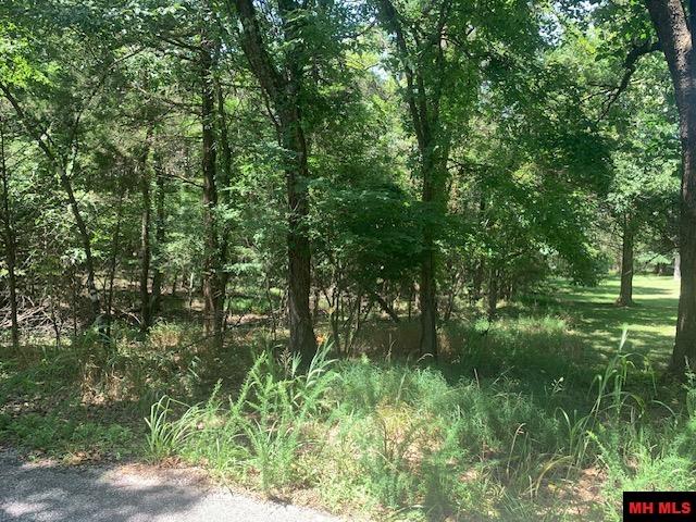 001-09509-000 Lazy Acres Road