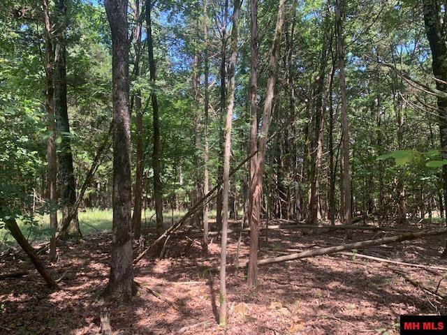 001-09509-000 Lazy Acres Road