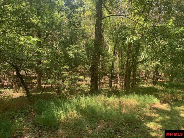 001-09509-000 Lazy Acres Road