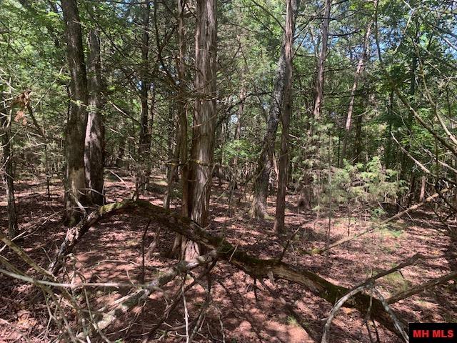 001-09509-000 Lazy Acres Road