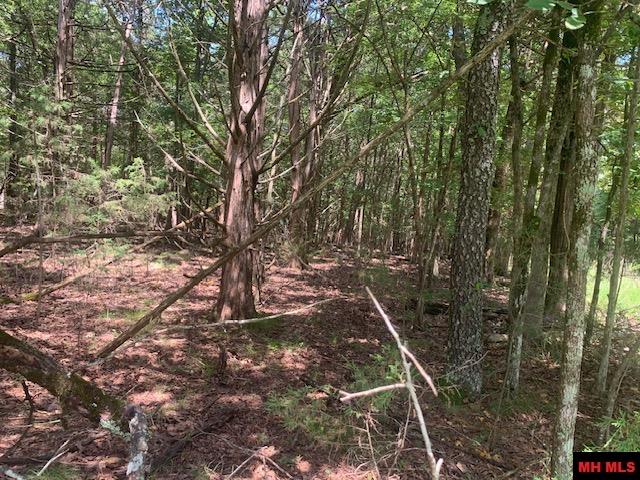 001-09509-000 Lazy Acres Road